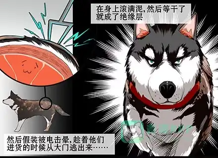 一条狗（条漫） 正传-第六十一话 第1页