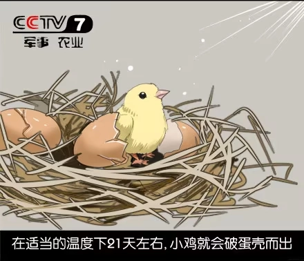 一条狗（条漫） 外传-第五话 第8页