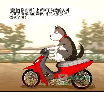 一条狗（条漫） 正传-第六十四话 第1页