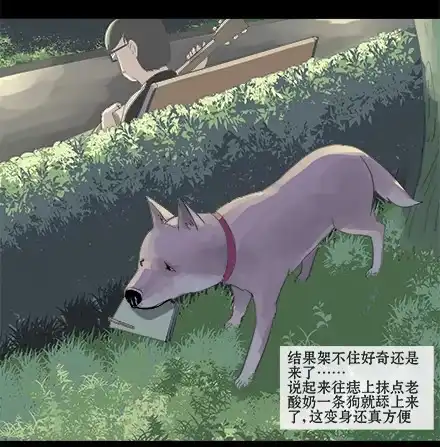 一条狗（条漫） 正传-第七话 第7页