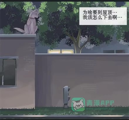 一条狗（条漫） 正传-第八话 第11页