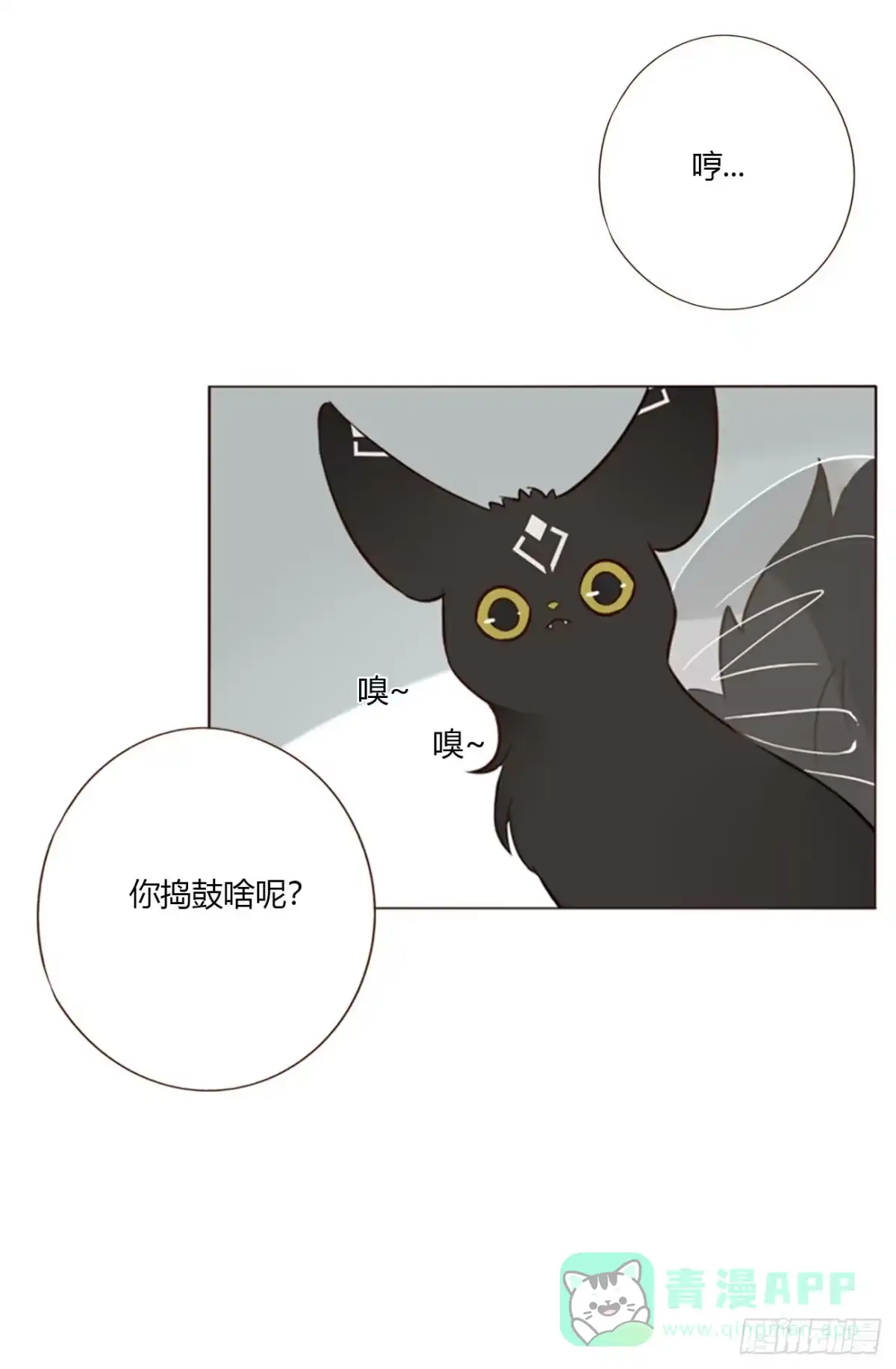 拥然入怀 一九九章 妹妹 第41页