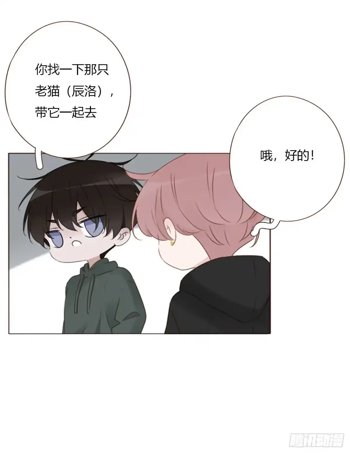 拥然入怀 二百零五章 准备动手了 第20页