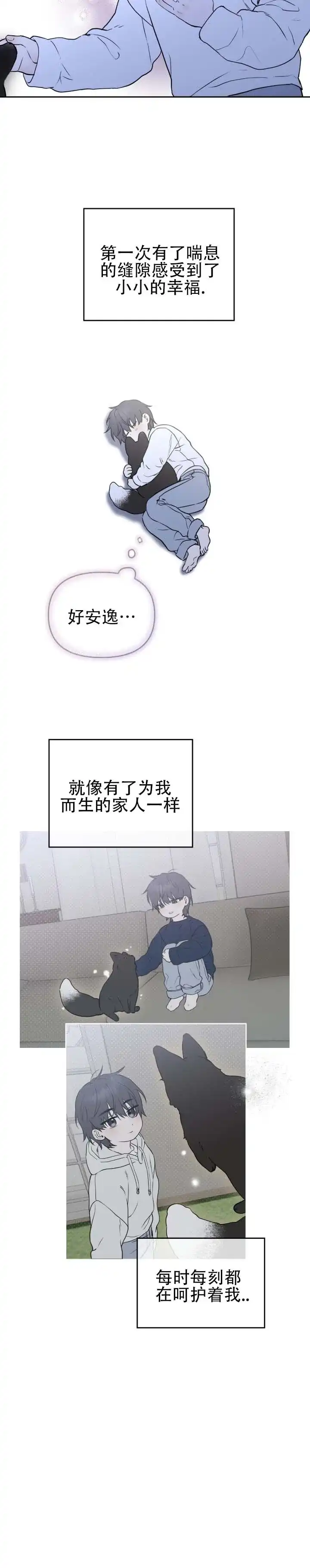 12.jpg