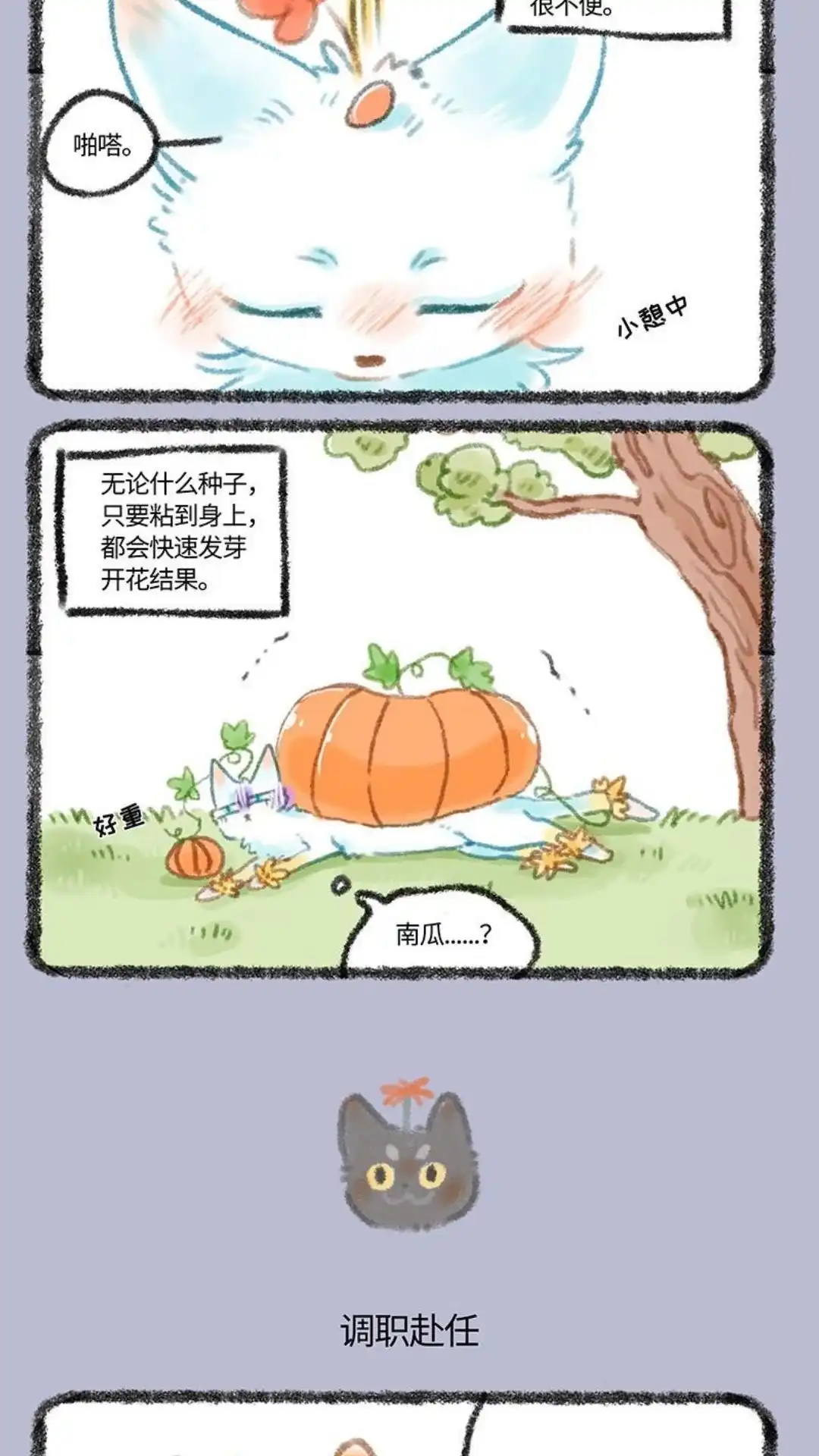 《有兽爲》270话 东北小山雀 第3页