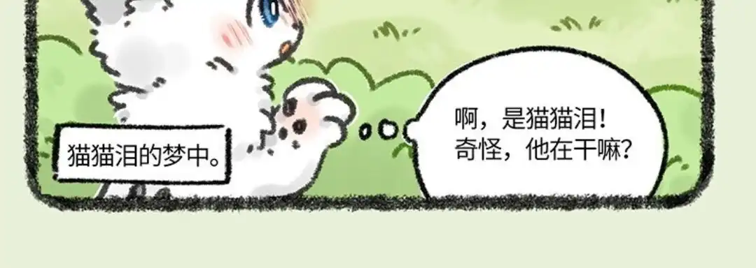 《有兽爲》664话 这种猫精理了吧 第6页