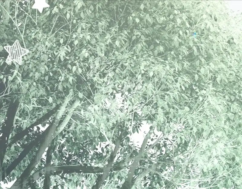 《游戏，未结束》46.更加靠近了啊 第9页