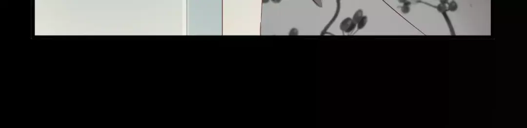《与爱有关》第76话 她有危险了！ 第52页