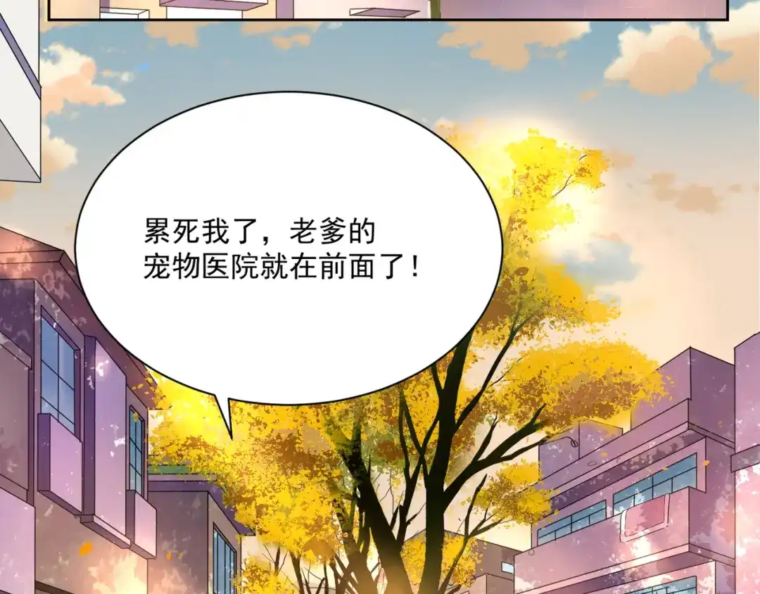《缘来缘去是狼君》第1话 缘起 第55页
