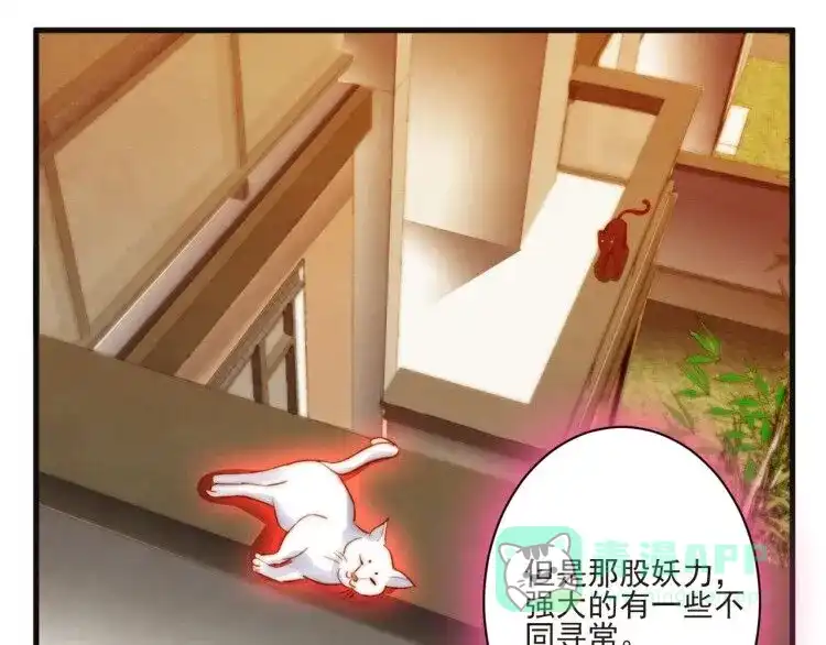 《缘来缘去是狼君》第10话 隐藏秘密 第46页