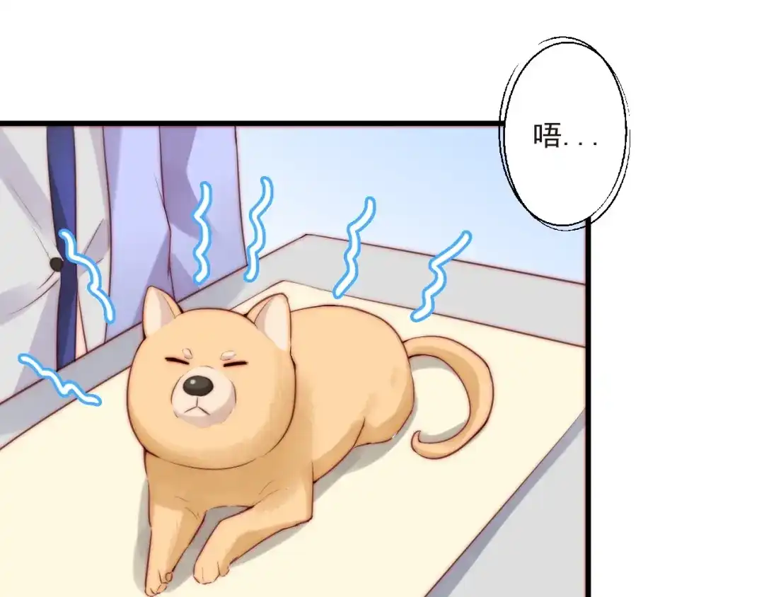 《缘来缘去是狼君》第11话 救治 第10页