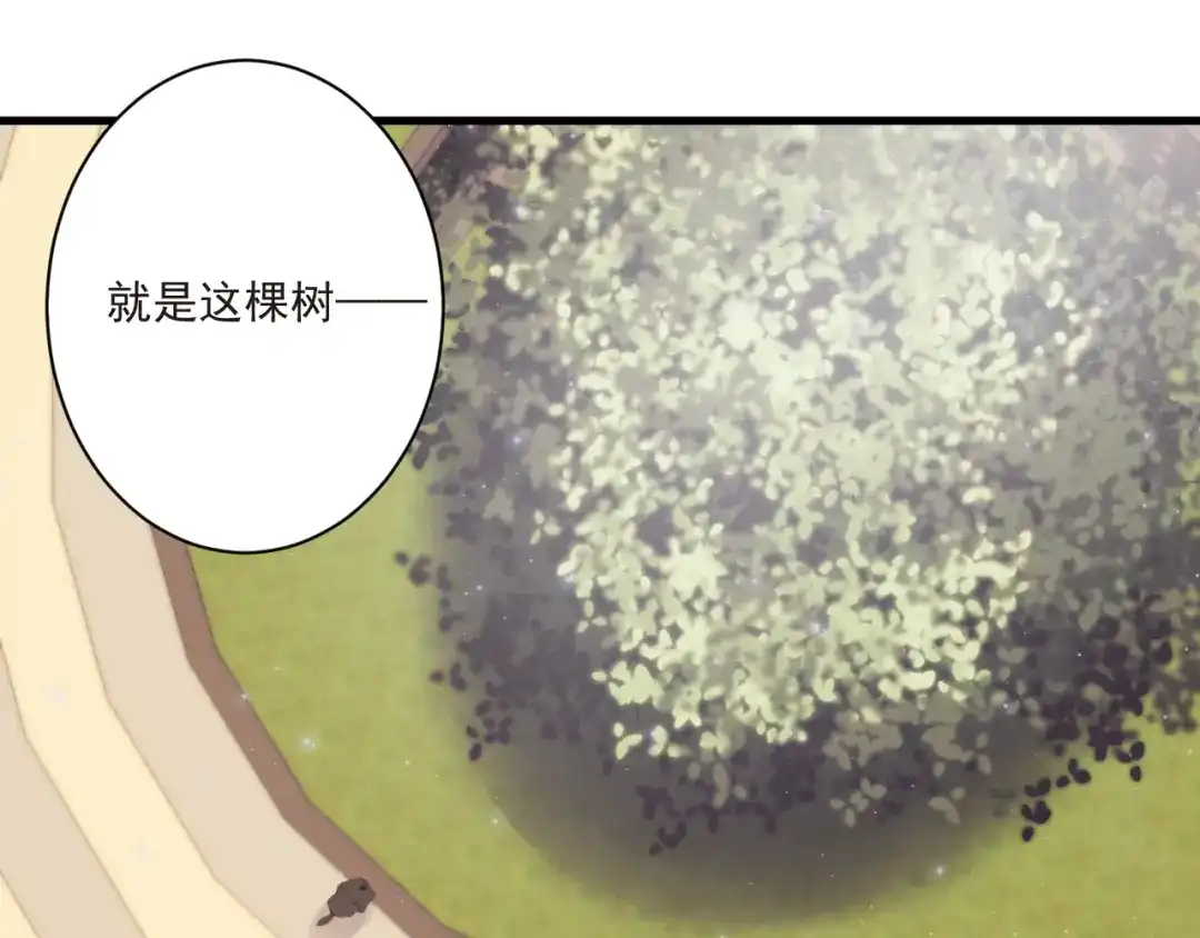 《缘来缘去是狼君》第12话 榕树之灵 第30页