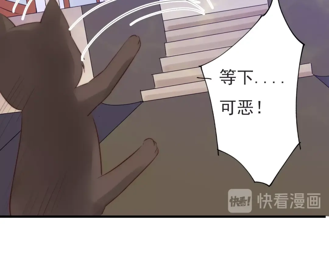 《缘来缘去是狼君》第18话 受伤 第23页