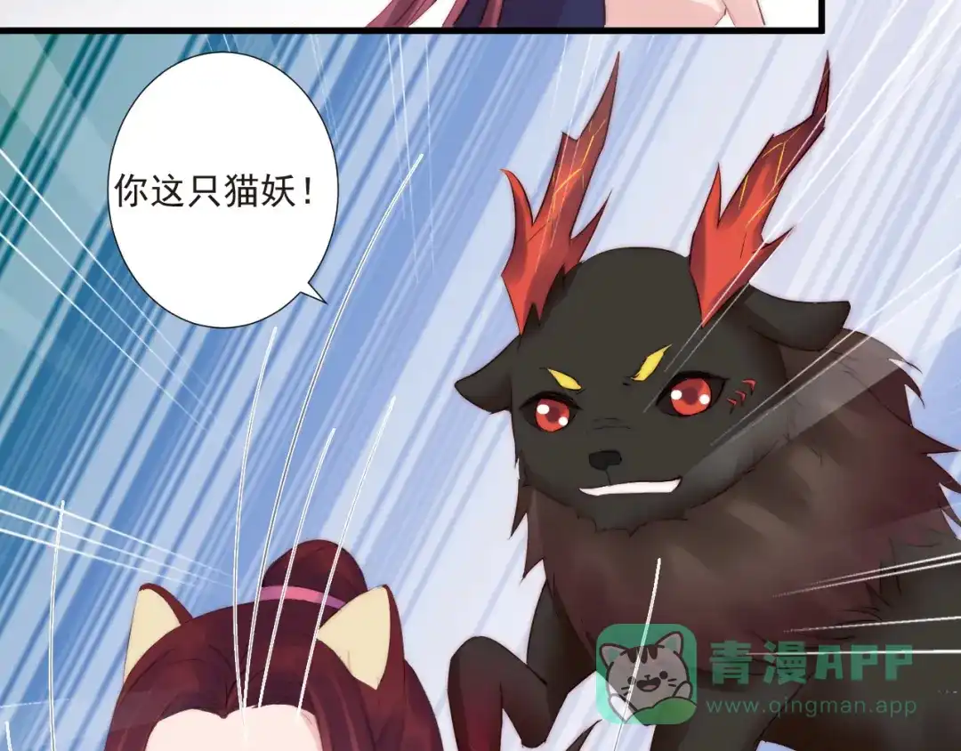 《缘来缘去是狼君》第19话 你们到底是什么人 第31页