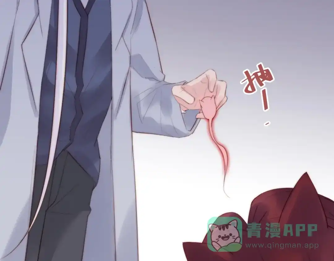 《缘来缘去是狼君》第19话 你们到底是什么人 第41页
