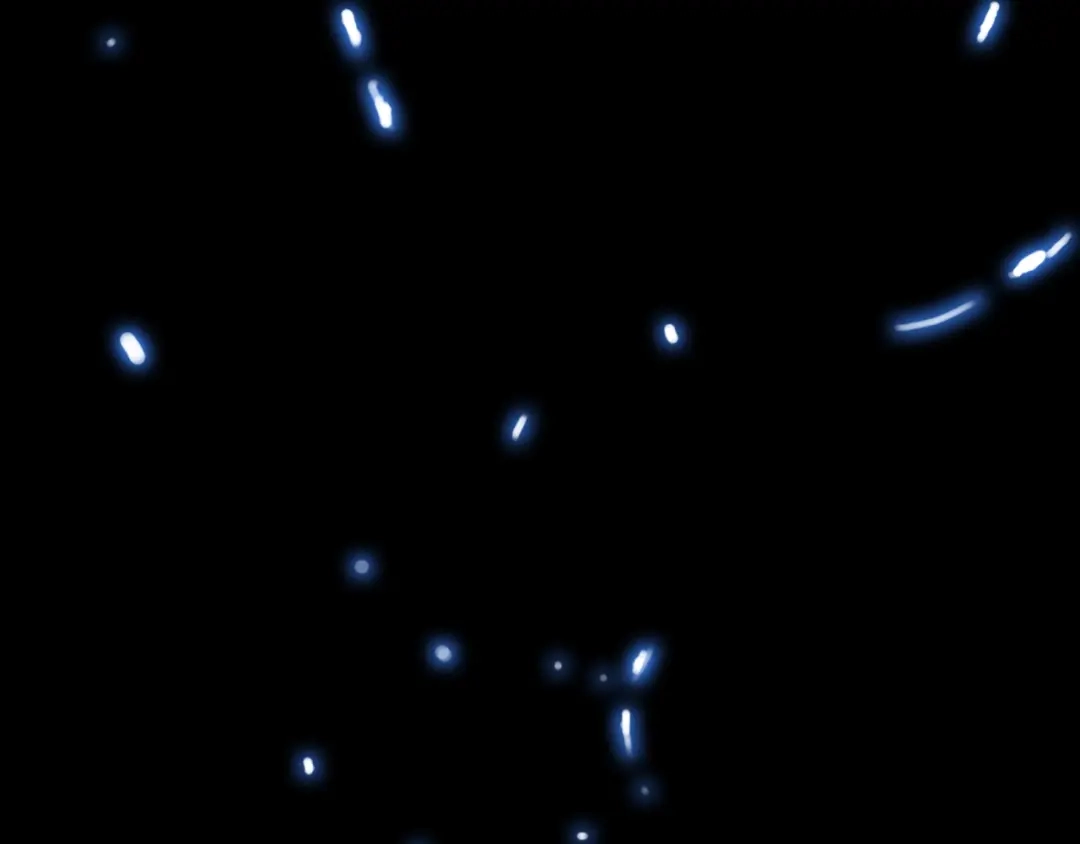 《月光雕刻师》第0+1话 天价的账号 第12页