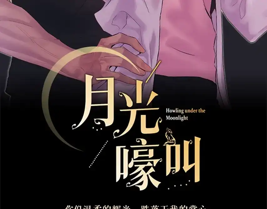 月光嚎叫 预热+作者的信 第29页