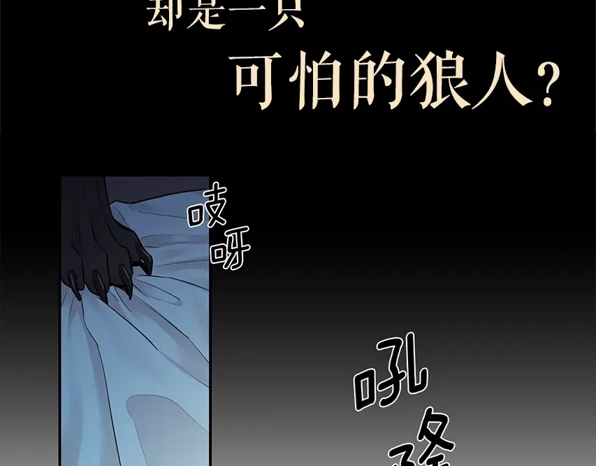 月光嚎叫 预热+作者的信 第20页