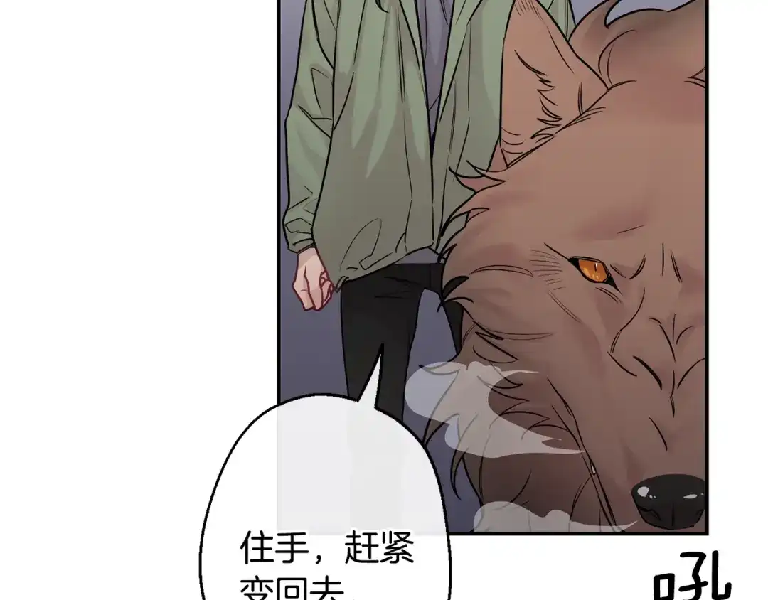 月光嚎叫 第11话 他居然是…？ 第13页