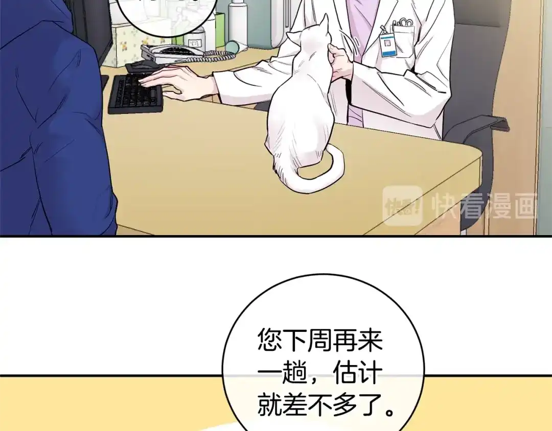 月光嚎叫 第1话 受伤的男人 第19页