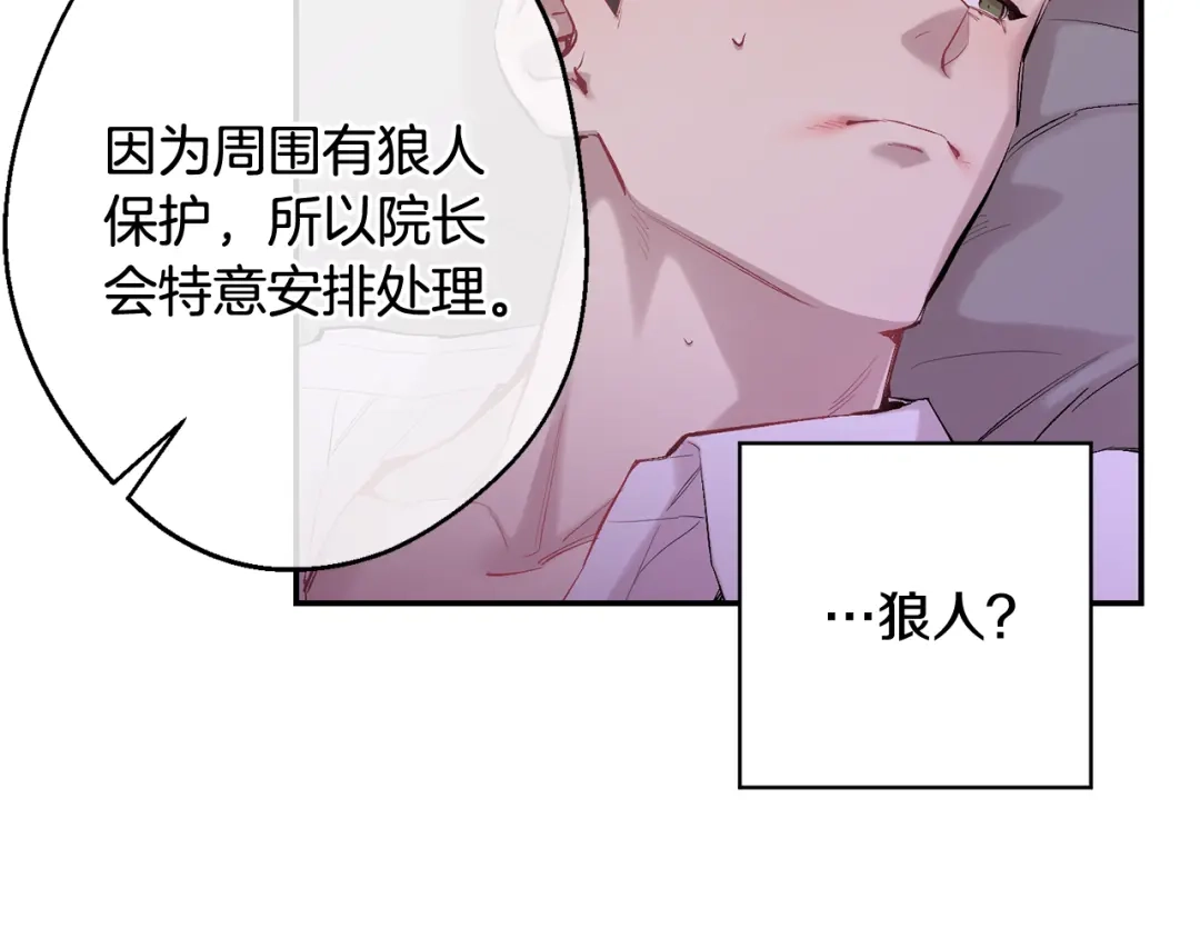 月光嚎叫 第33话 许润身份暴露 第95页