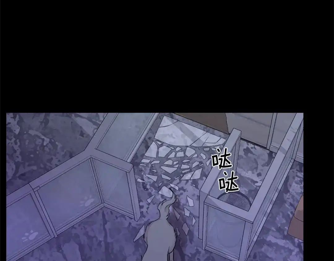 月光嚎叫 第44话 过往 第44页