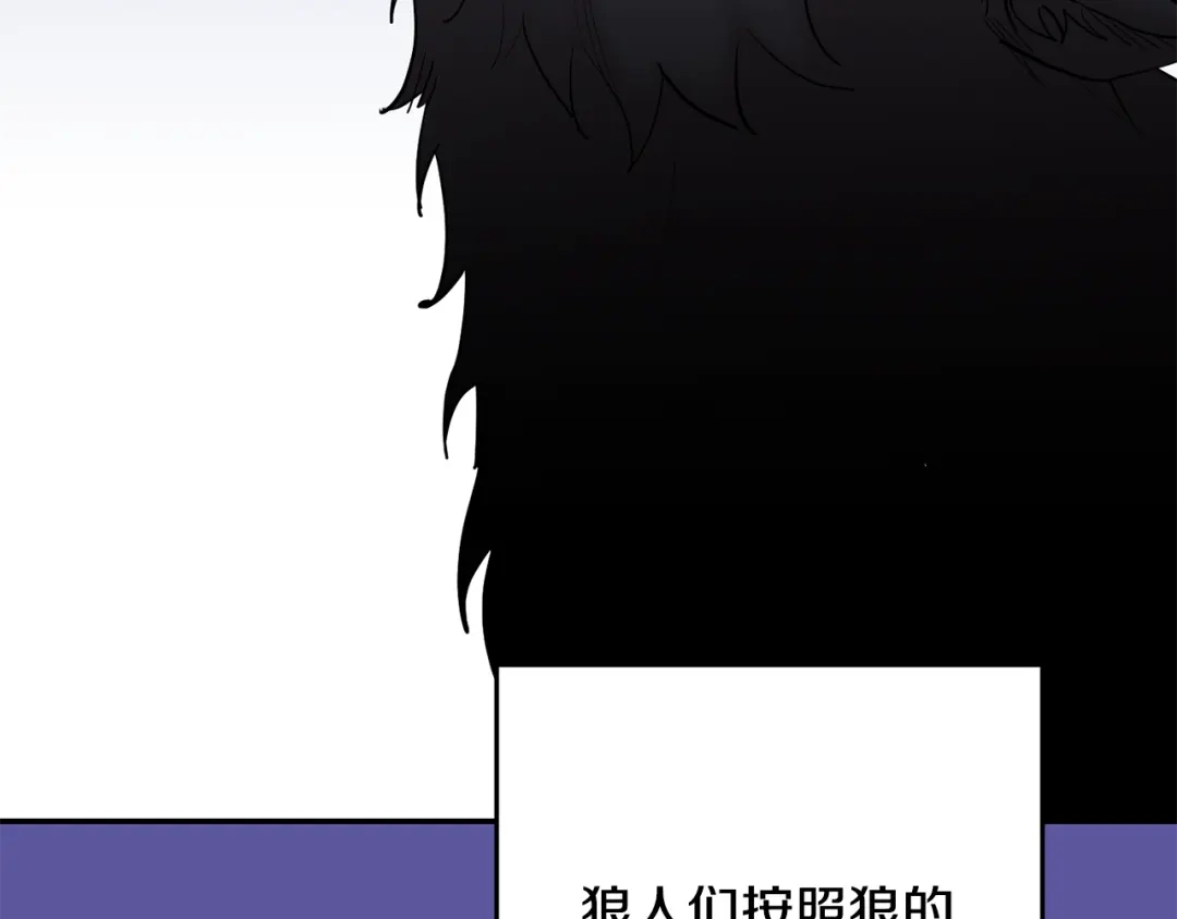 月光嚎叫 第56话 保护你 第4页