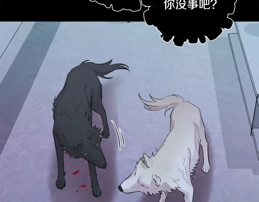 月光嚎叫 第56话 保护你 第126页