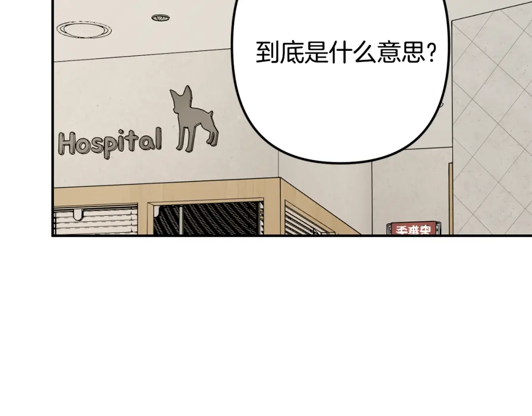 月光嚎叫 完结篇 永远在我身边 第20页