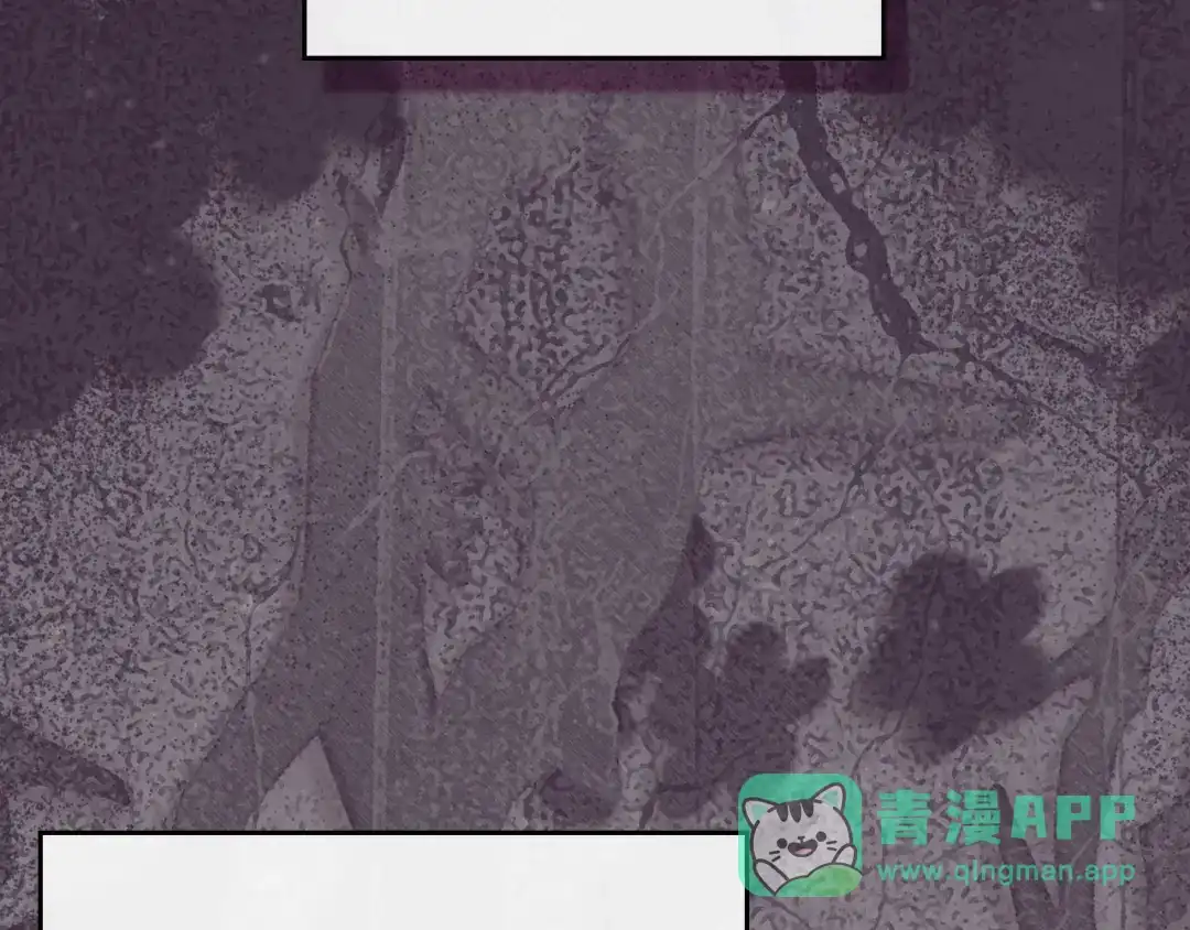 月光图书馆 - 番外1 唯一的选择 - 第46张图