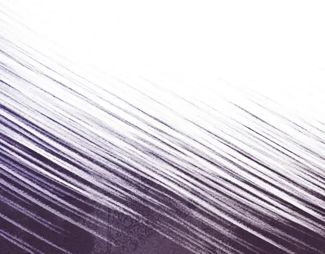 月光图书馆 - 番外1 唯一的选择 - 第43张图