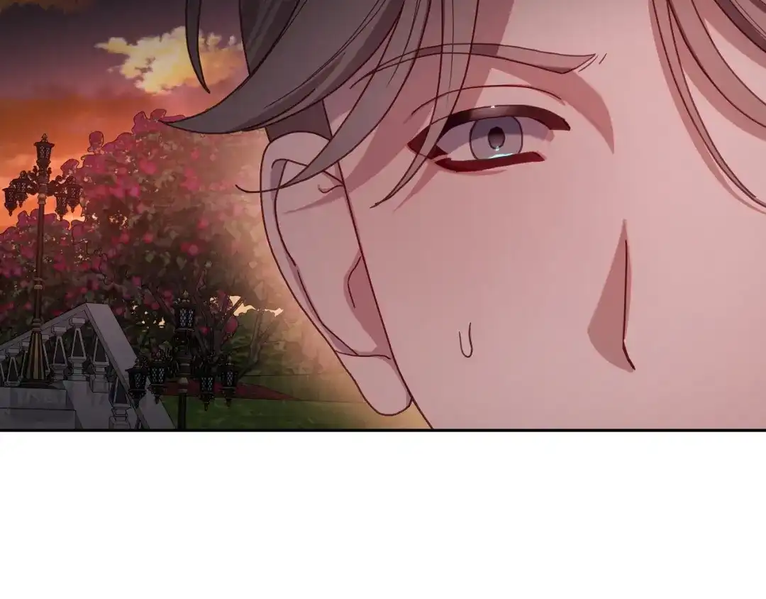 月光图书馆 - 番外2 许愿 - 第22张图