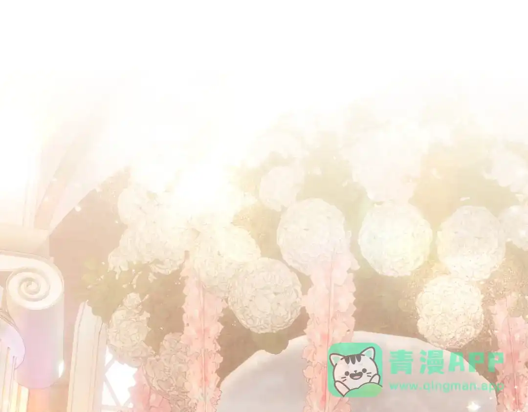 月光图书馆 - 番外2 许愿 - 第211张图