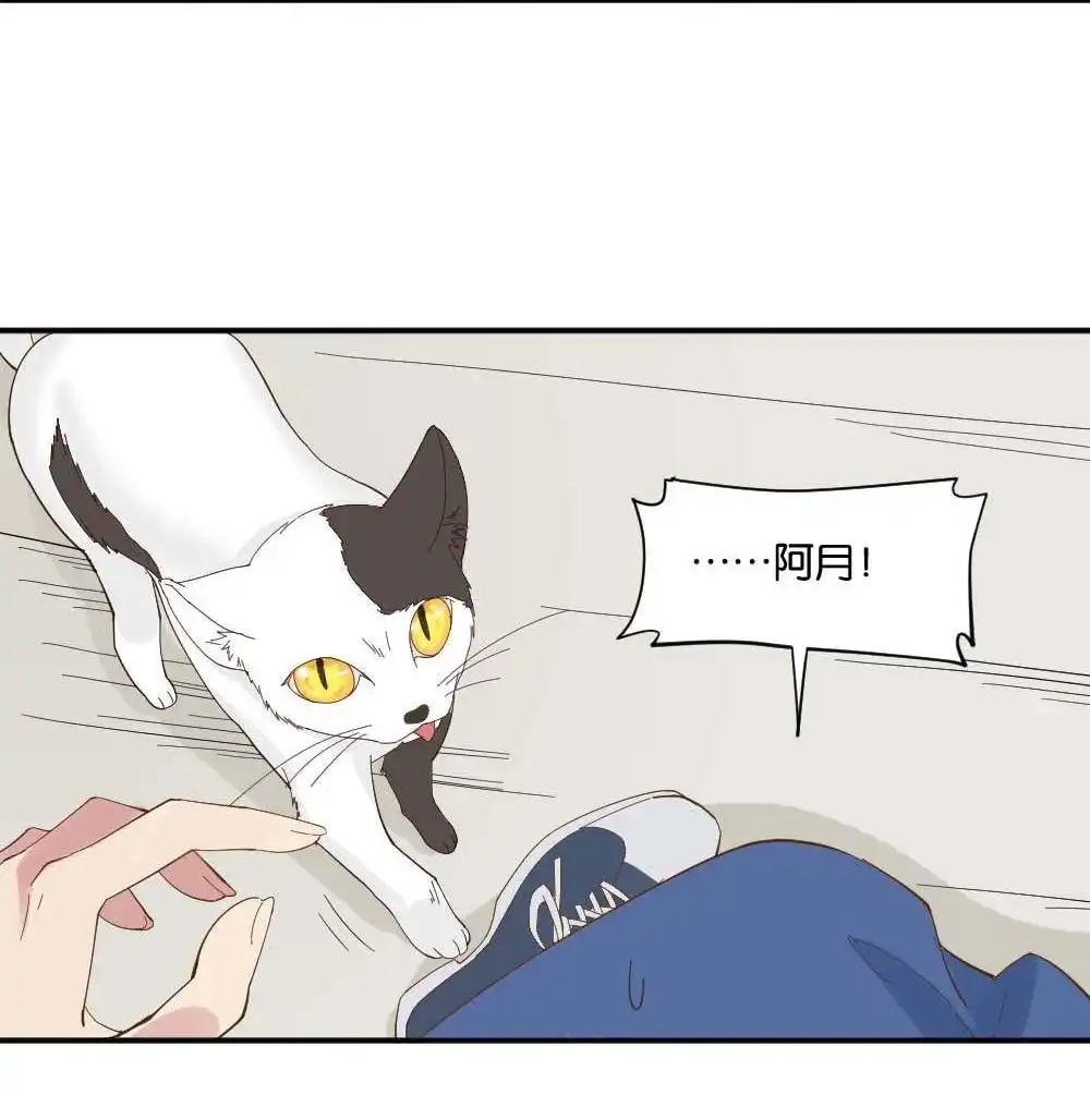 《月老不准我恋爱》第1回 不可以和别人谈恋爱 第93页