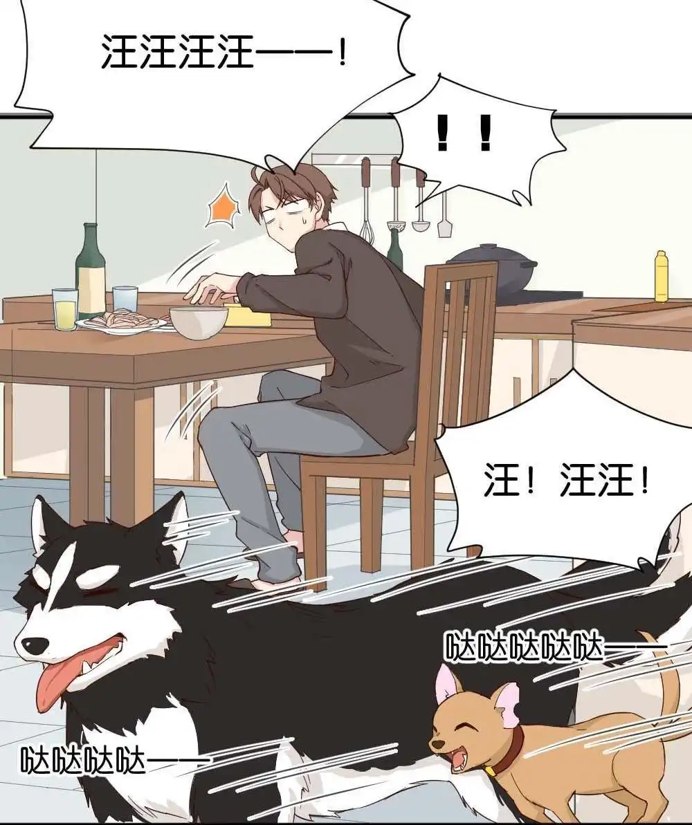 《月老不准我恋爱》第25回 苏白篇1 第8页