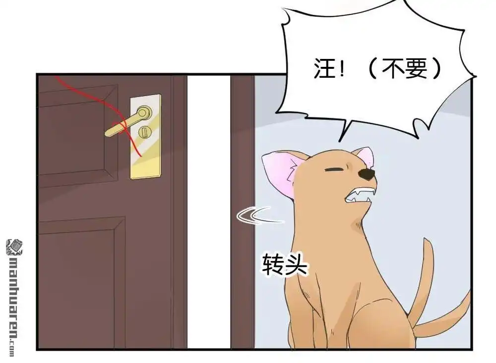 《月老不准我恋爱》第27回 苏白篇3 第28页