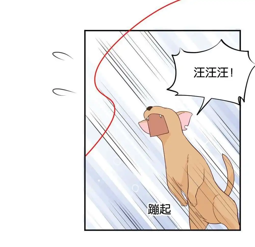 《月老不准我恋爱》第27回 苏白篇3 第31页