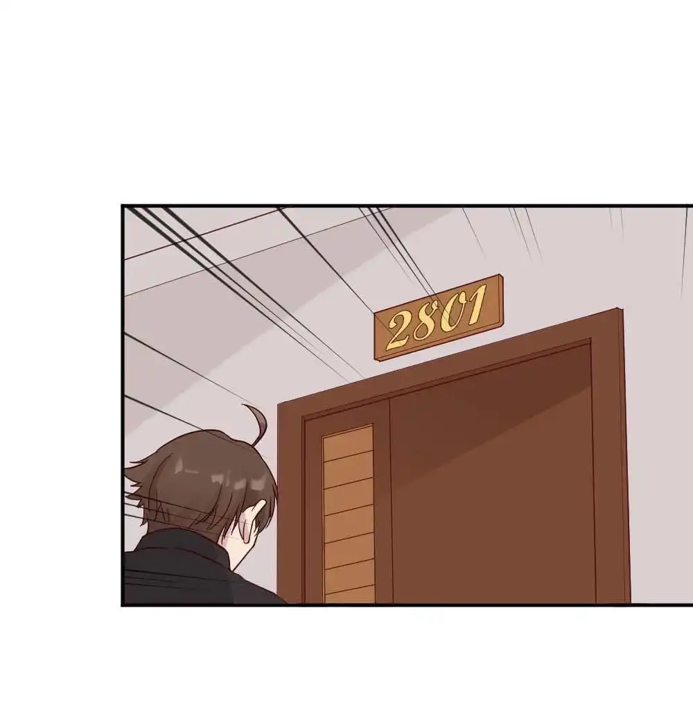 《月老不准我恋爱》第29回 苏白篇5 第11页