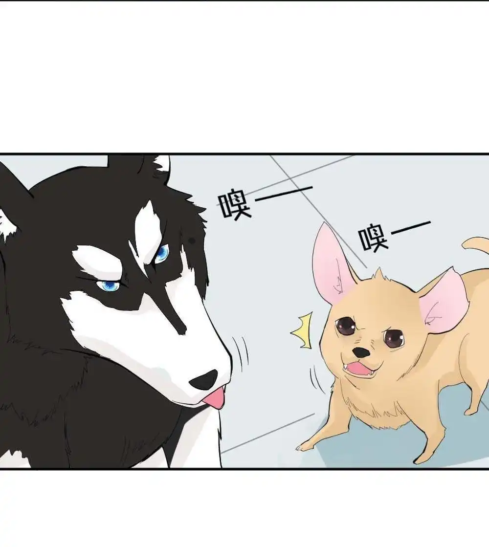 《月老不准我恋爱》第3回 识破 第45页