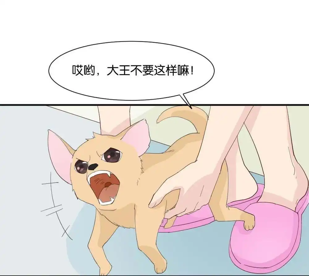 《月老不准我恋爱》第3回 识破 第52页