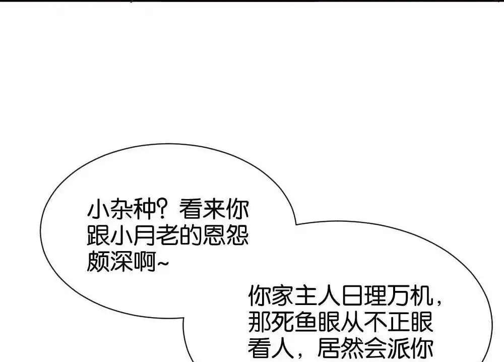 《月老不准我恋爱》第39回 时雨失踪了2 第73页