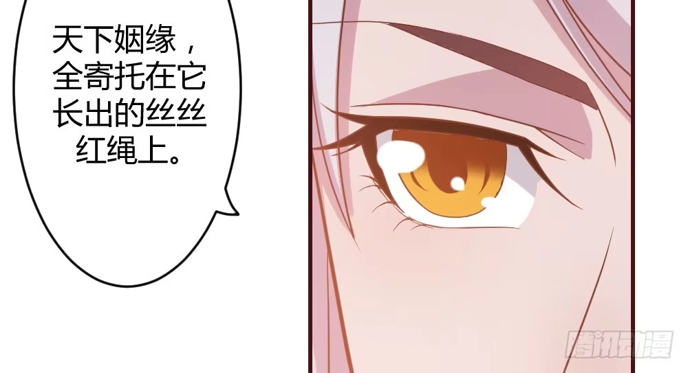 《月下有红绳》八卦 第16页