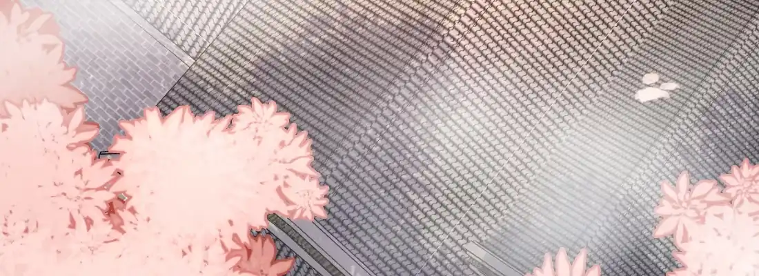 《月下有红绳》大婶？阿婆？ 第55页