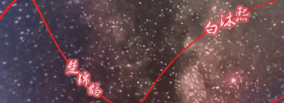 《月下有红绳》习惯 第49页