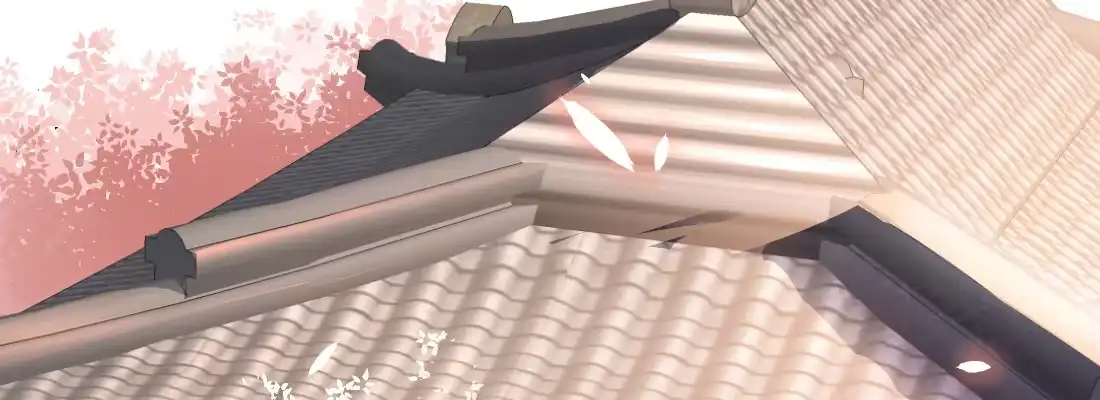 《月下有红绳》师兄的担心 第77页
