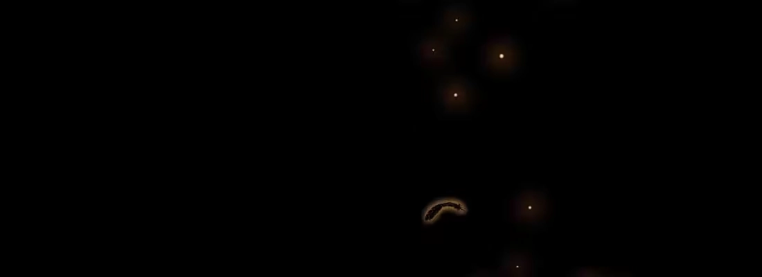 《月下有红绳》重伤 第83页