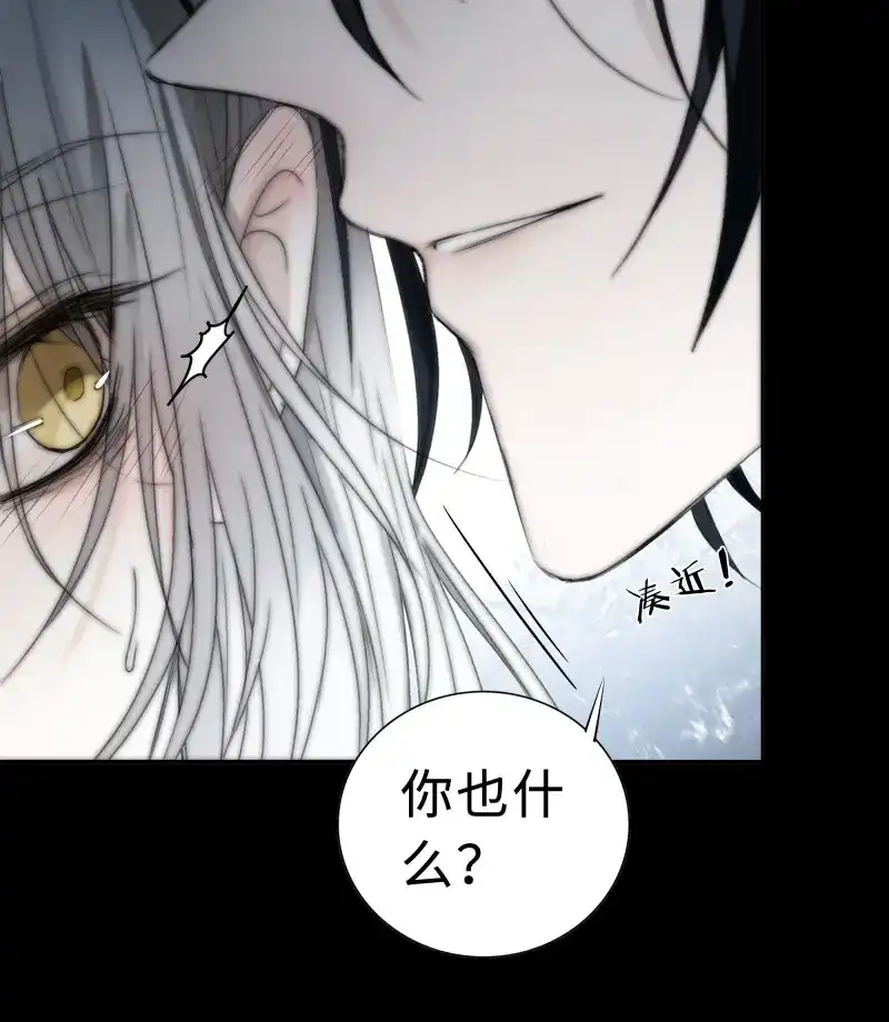 《月坠重明》第11话 这里交给我吧！ 第37页
