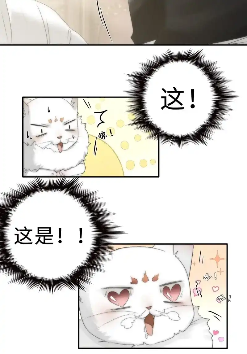 《月坠重明》第26话 这句道歉，是对我说的么？ 第15页