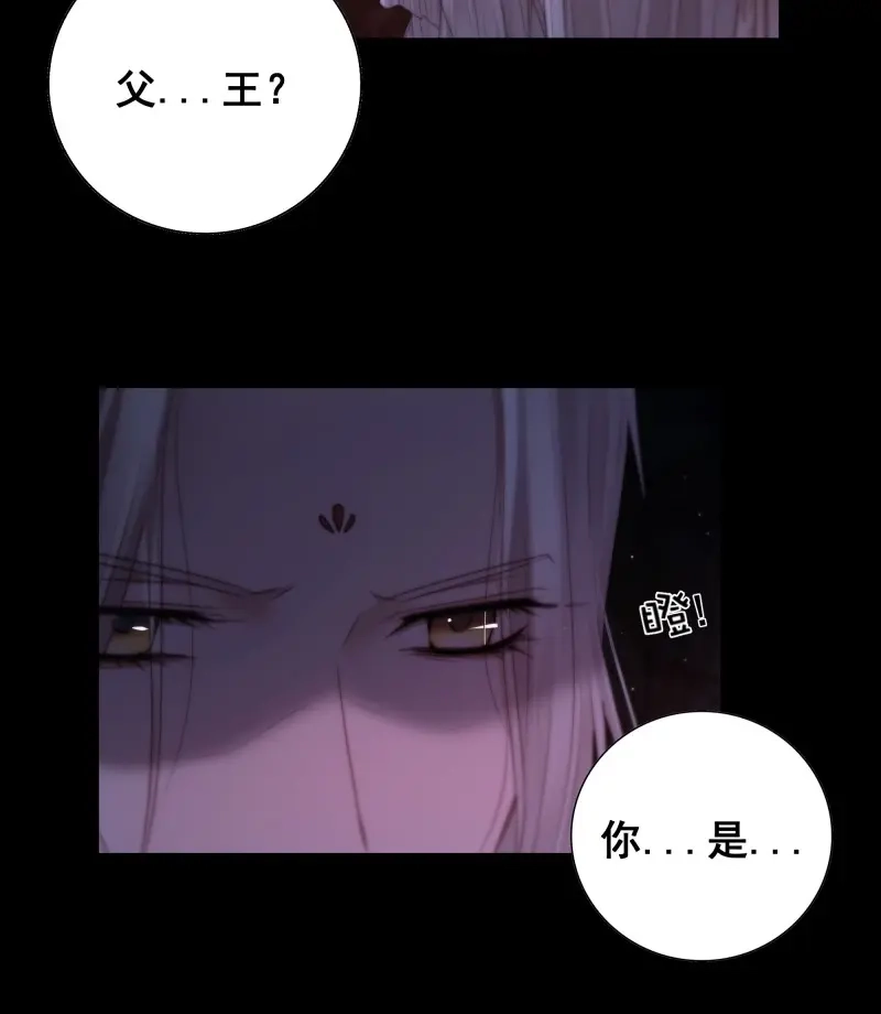 《月坠重明》第68话 南荒国主埋下的血与仇 第11页