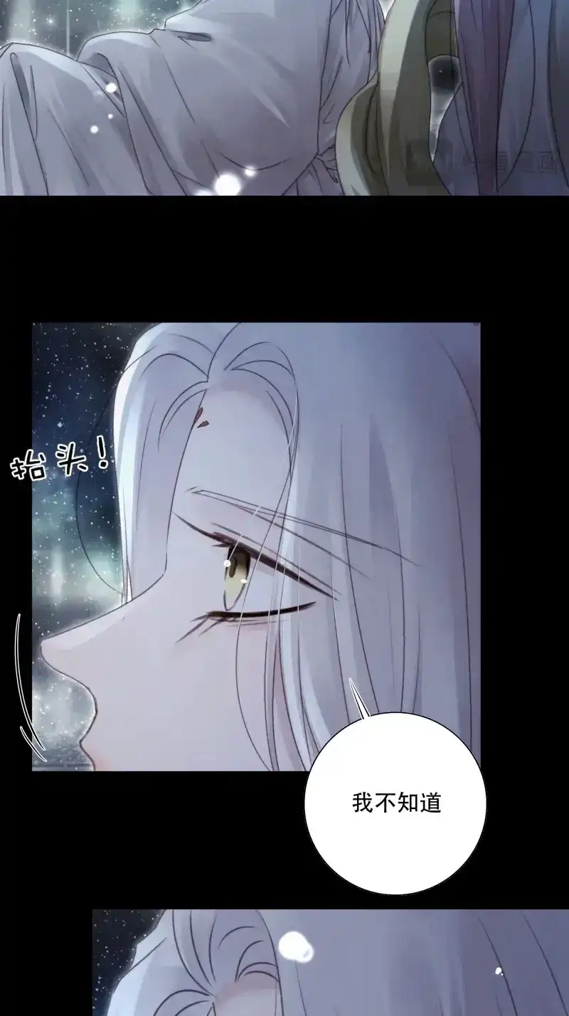 《月坠重明》第93话 我在等一个真相。 第41页